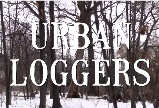 Image of the urban loggers title page