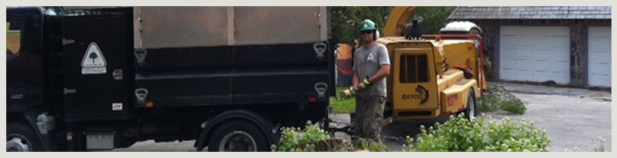 Image of Enviro Tree Care Crew chipping removed tree limbs