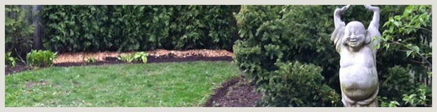 image of a new planting of trees and a Budda statue 