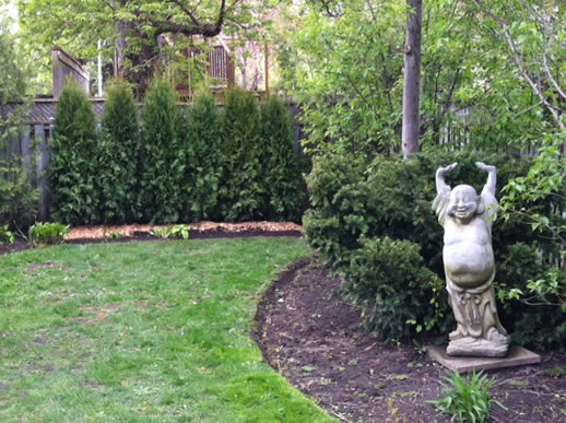 Image of a new planting and a happy Budda statue